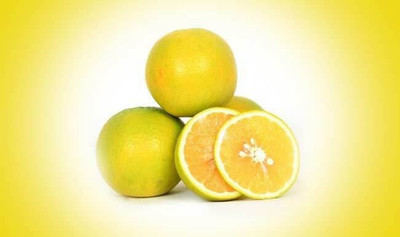 Quentova Sweet lemon (Citrus limetta) Seed-KTL-7E Seed(20 per packet)