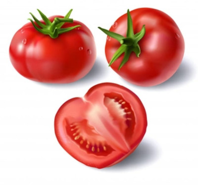 VRAKSHA Organic Tomato Vegetable Seed(1500 per packet)