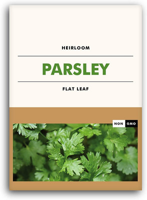CYBEXIS GBPUT-95 - Italian Dark Green Flat Leaf Parsley - (250 Seeds) Seed(250 per packet)