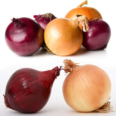 WILLVINE Sweet Onion Seeds UK Red & Brown Mixed Large Vegetable-[1000 Seeds] Seed(1000 per packet)
