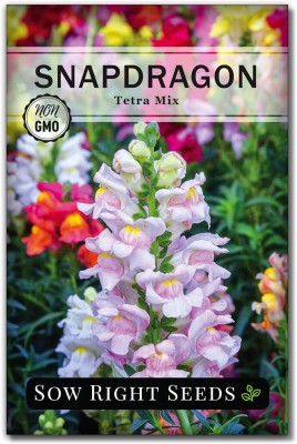 Biosnyg IAIR-82 Tetra Mix Snapdragon Flower Seeds-[50 Seeds] Seed(50 per packet)