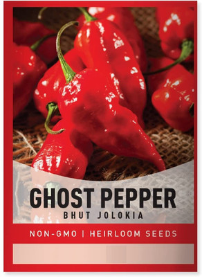 Biosnyg Chilli Ghost Pepper Bhut Jolokia Seed(1000 per packet)