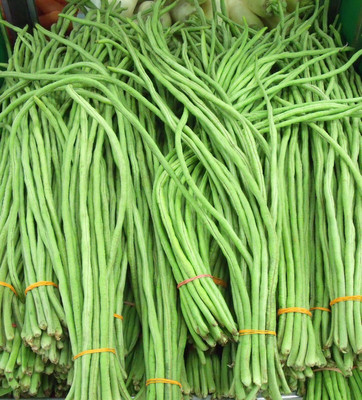 Arshiayat LONG YARD BEANS(Lobia), COWPEA, KARAMANI Seed(72 per packet)