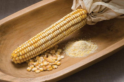 WILLVINE KGF -VI Corn Dent Nothstine (Yellow)-[500g] Seed(2000 per packet)