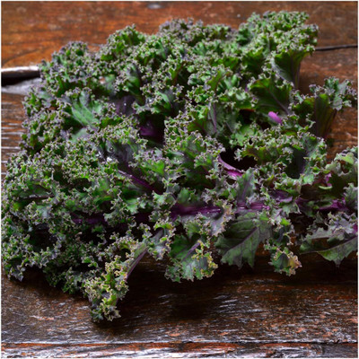 WILLVINE HUA -III Red Russian Kale Seeds [5g] Seed(1500 per packet)