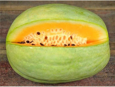 WILLVINE LX-404 Desert King Watermelon Seeds Seed(100 per packet)