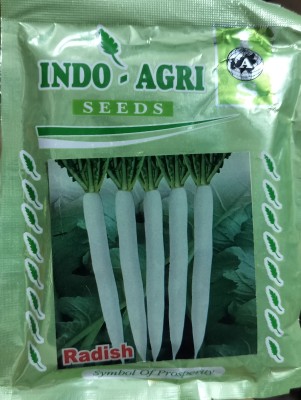 HYBRID 100g, Indo agri radish seeds shine fruit very tasty Seed(1 per packet)