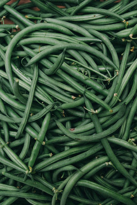 CYBEXIS French Climbing Bean Blue Lake Stringless Vegetable Seeds-100 Seeds Seed(100 per packet)
