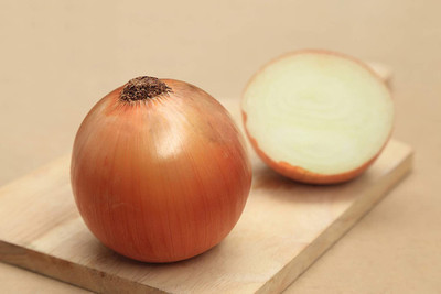 WILLVINE LX-319 Onion, Candy Hybrid Seeds Seed(1000 per packet)