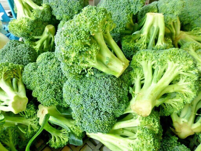 WILLVINE ROX -XVI Waltham Broccoli - Brassica oleracea [1g] Seed(300 per packet)