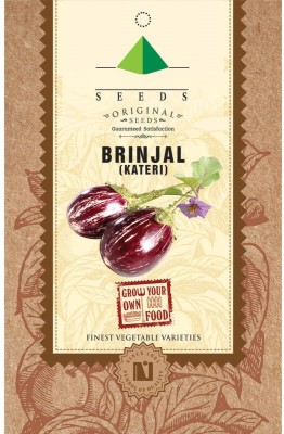 CYBEXIS Brinjal Kateri Seeds600 Seeds Seed(600 per packet)