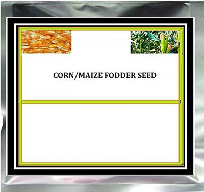 VibeX ® VLR-828 CORN/MAIZE FODDER SEED Seed(500 per packet)