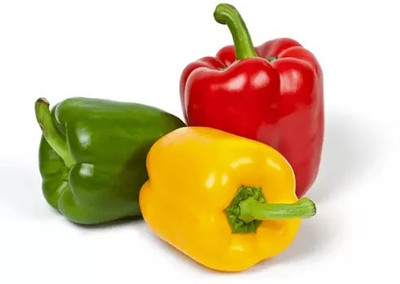 VASUDHA Mixed pepper Capsicum Seed(500 per packet)