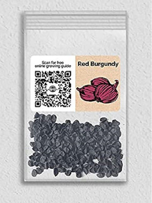 CYBEXIS ATS-33 - Red Burgundy Onion - (4500 Seeds) Seed(4500 per packet)