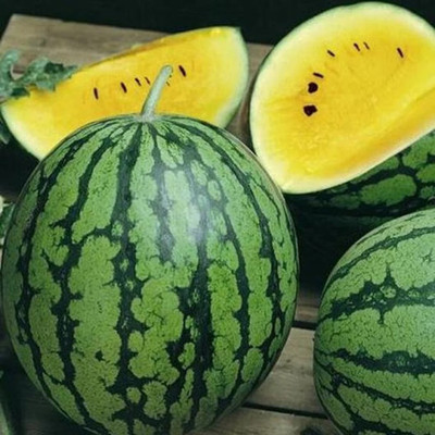 EMKOT Sweet Tropical Exotic Yellow Watermelon Seed(50 per packet)