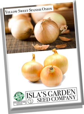 WILLVINE MEH -I Yellow Sweet Spanish Onion Seeds [5g] Seed(3000 per packet)