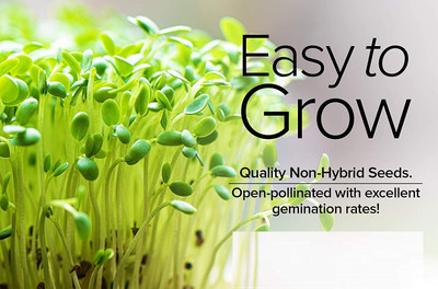 Qualtivate NDIR-152 Wild Arugula(Diplotaxis tenuifolia) Seed(500 per packet)