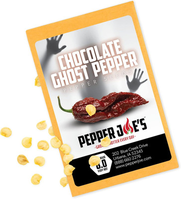 Qualtivate HUA-8A Chocolate Ghost Chilli Pepper Seed(300 per packet)
