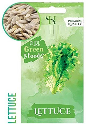 CYBEXIS Heirloom Herb Seeds-Lettuce2000 Seeds Seed(2000 per packet)
