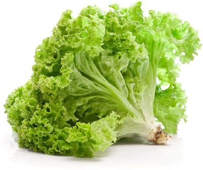 Aywal Lettuce Iceberg Seeds Hybrids F1 Vegetable Seeds for Home Garden Seed(70 g)