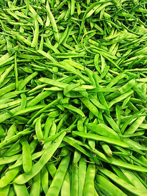 XOLDAA CLUSTER BEANS SEEDS Seed(25 per packet)