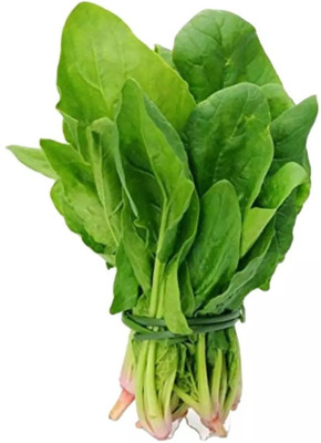 Quentova Palak/Spinach-GBPUT-22F Seed(250 per packet)
