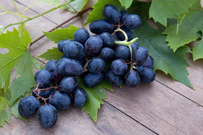 Quentova Black Globe Grape Extra Super Sweet-NCS-99J Seed(150 per packet)