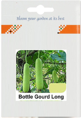 CYBEXIS Bottlegourd Long400 Seeds Seed(400 per packet)