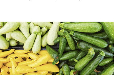 Qualtivate NDIR-495 Zucchini and Squash Mix Seeds Seed(100 per packet)