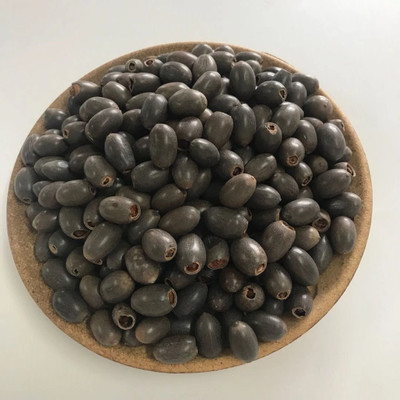 krishva 01 Seed(20 per packet)
