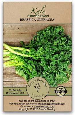 WILLVINE MAH -IV Siberian Dwarf Kale [10g] Seed(3000 per packet)