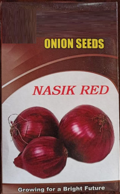 WILLVINE ATS-1002 Nasik Red N53 Onion Seeds Swing Pose Seed(1000 per packet)