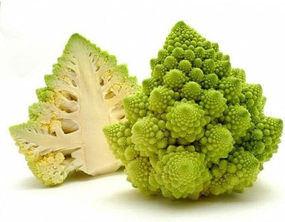 WILLVINE KGF -XVI Vegetable Broccoli Cabbage Romanesco [5g] Seed(1500 per packet)