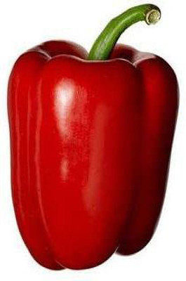 VibeX ® LXI-182 RED CAPSICUM (SHIMLA MIRCH)SEEDS Seed(200 per packet)