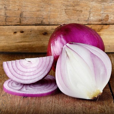 WATIKA Onion Seeds - Red Burgundy Seed(500 per packet)