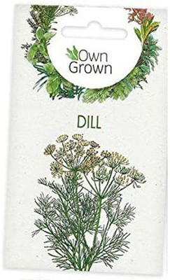 CYBEXIS Dill Heirloom Herb Seeds1400 Seeds Seed(1400 per packet)