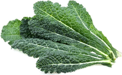 WILLVINE VNR -VII Lacinato Kale Seed, Non-GMO [50g] Seed(15000 per packet)