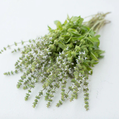 VibeX ® XLR-12 Lemon Basil 'Mrs. Burns' Seed(1000 per packet)