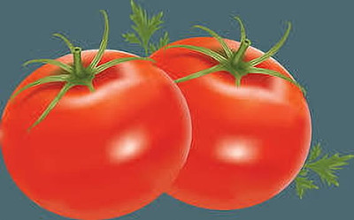 Oliver hybrid f1 quality tomato Seed(90 per packet)