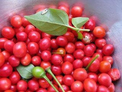 Biosnyg Fast Growing Red Chiltepin Pepper Seeds For Kitchen Gardening-(2000 Seeds) Seed(2000 per packet)