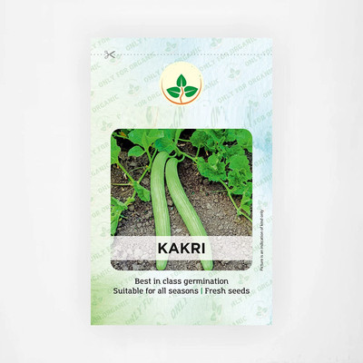 VibeX NBIR-59 - Hybrid Cucumber - Long Melon - (150 Seeds) Seed(150 per packet)