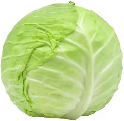 MYLAWN Green Cabbage Seed(500 per packet)