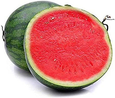 KANAYA Water Melon Seed(10 per packet)