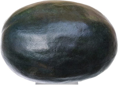 CYBEXIS XL-29 - Black Diamond Watermelon - (1350 Seeds) Seed(1350 per packet)