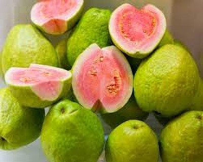 Aywal Red Guava/Amrud/Amrood Fruit Seed(35 per packet)