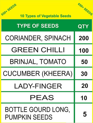 CYBEXIS 10 Varities Of Vegetable Seeds Combo 650+ Seed(10 g)