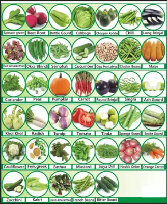 GROW-N-KNOW 40 Varieties of Vegetable Seeds Combo Pack Seed(40 per packet)