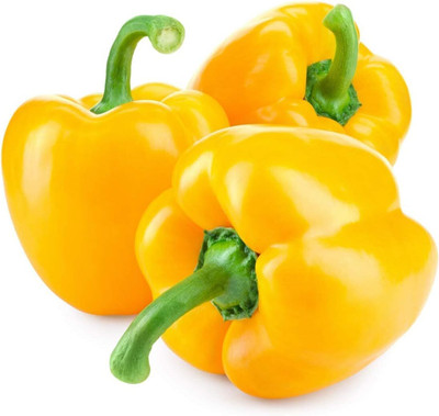 Biosnyg F1 Hybrid Golden Star Capsicum Seeds for Home Gardening-(200 Seeds) Seed(200 per packet)