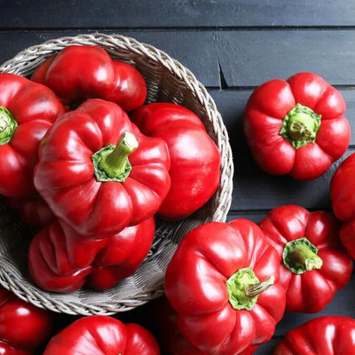 Urban Turtle Pepper Vegetable Seed Seed(20 per packet)