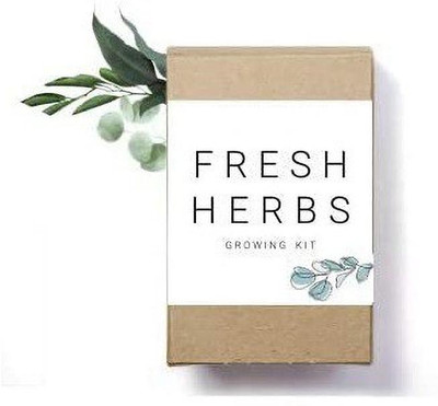 VibeX ™ RDX-285-Fresh Herbs Growing Kit Seed(30 per packet)